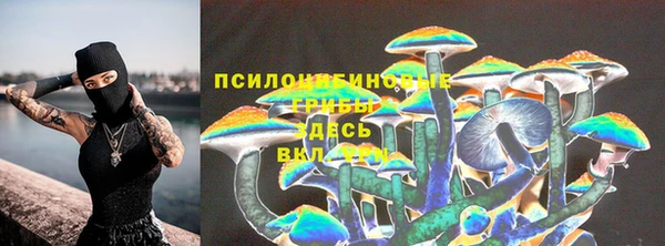 дурь Нязепетровск