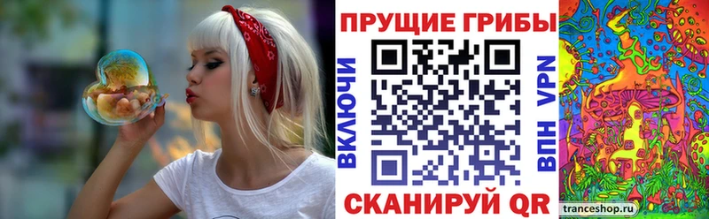 Псилоцибиновые грибы Magic Shrooms  Дивногорск 